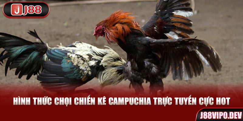 Hình thức chọi chiến kê Campuchia trực tuyến cực hot