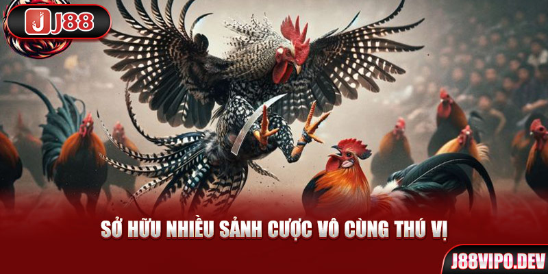 Sở hữu nhiều sảnh cược vô cùng thú vị