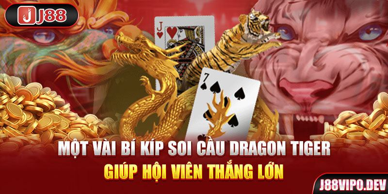 Một vài bí kíp soi cầu Dragon Tiger giúp hội viên thắng lớn