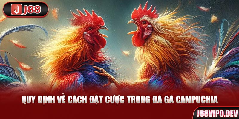 Quy định về cách đặt cược trong Đá Gà Campuchia