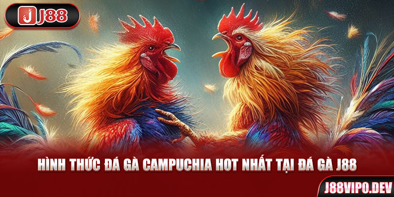 Hình thức đá gà Campuchia hot nhất tại Đá Gà J88