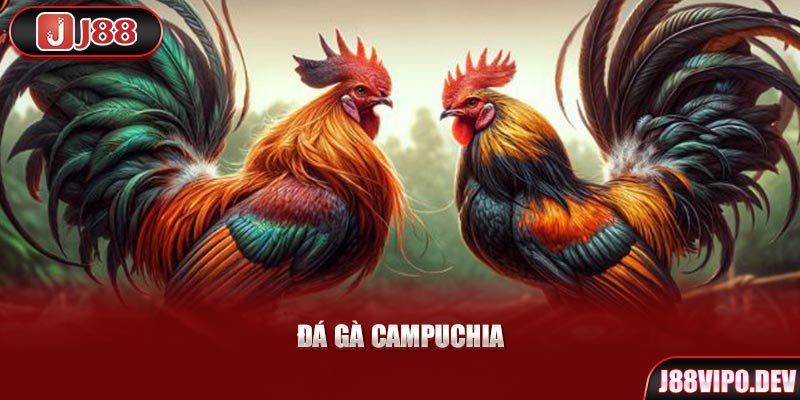 Đá Gà Campuchia trực tuyến.