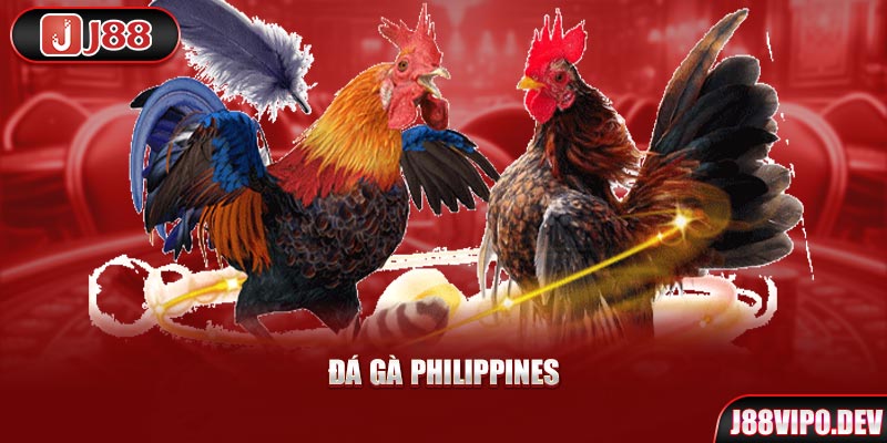 Đá Gà Philippines tại J88.